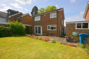 Photo 12- click for photo gallery